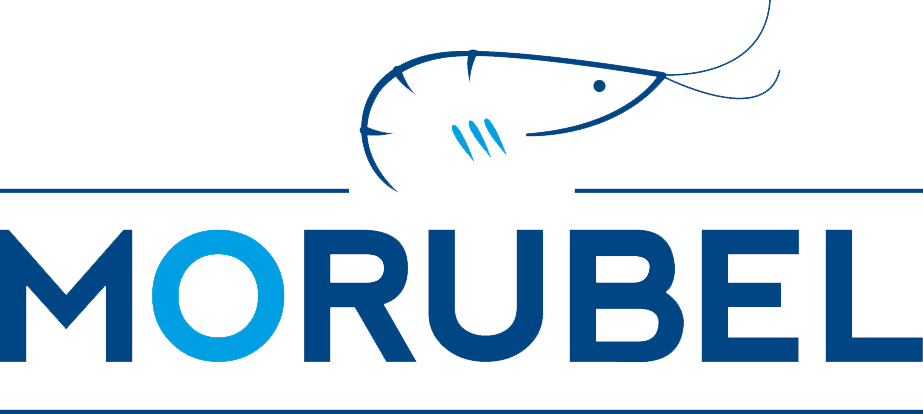 Gunnar Michielssen - Communicatie training bedrijven